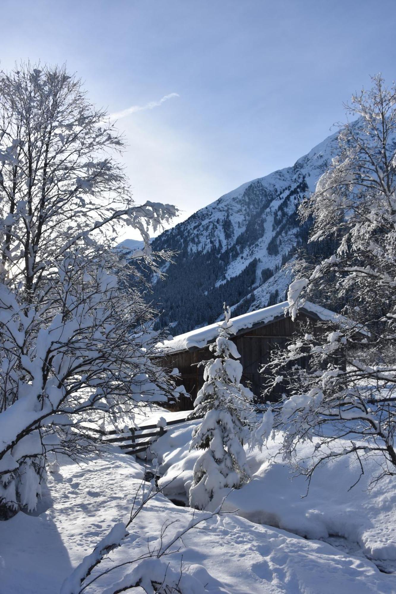 Appartement Haus Marco à Neustift im Stubaital Extérieur photo