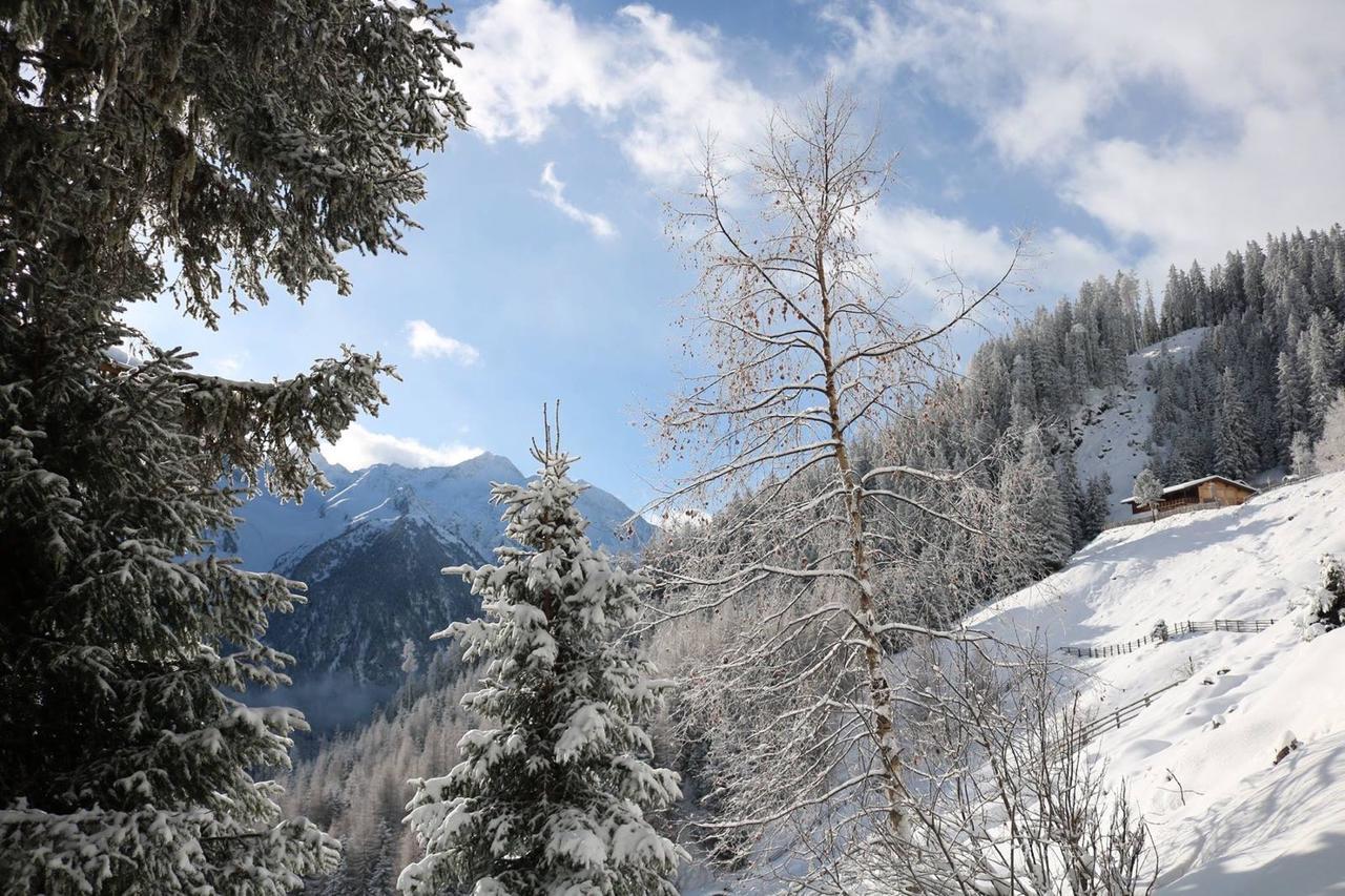 Appartement Haus Marco à Neustift im Stubaital Extérieur photo